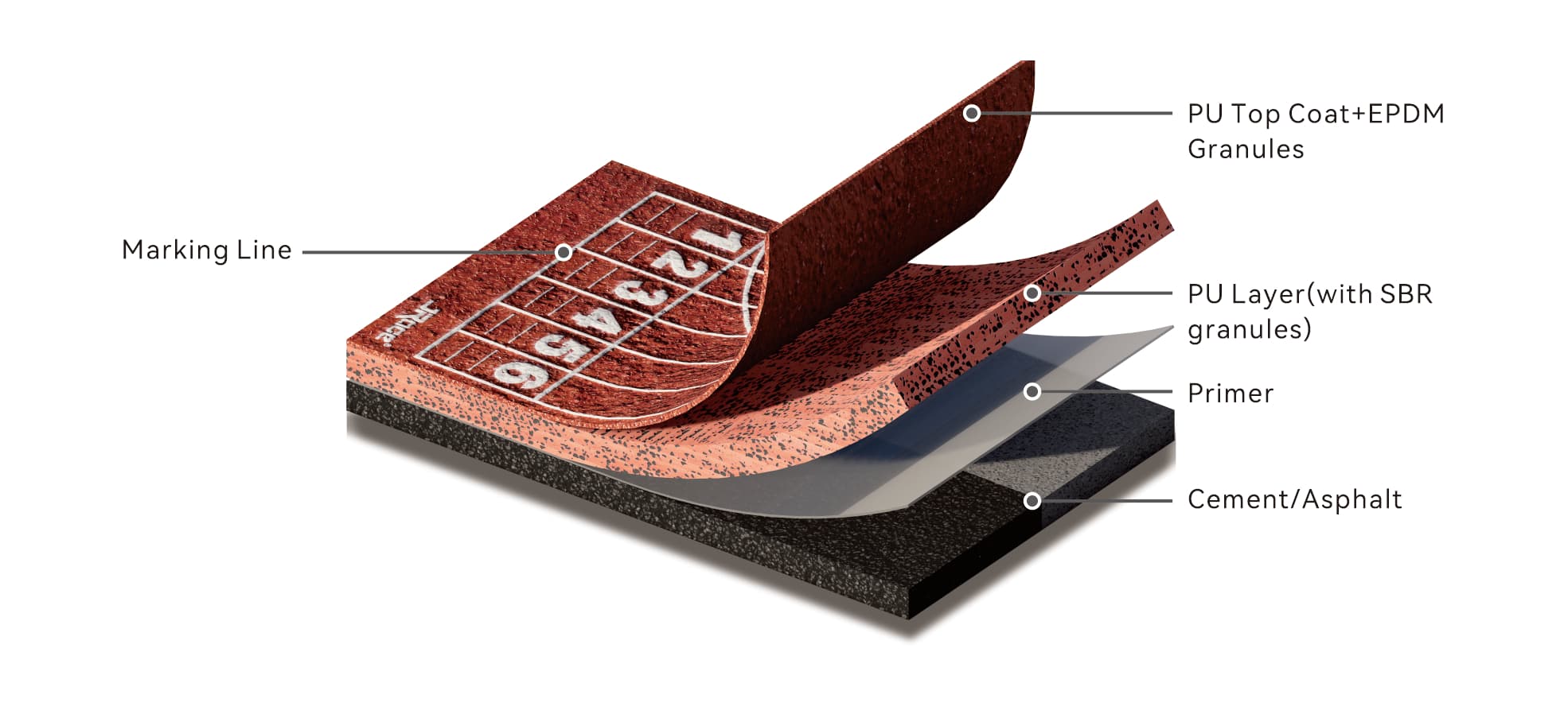 Cutaway of the FP Track build, from the bottom up: cement or asphalt base, primer, PU layer with SBR granules, PU top coat with EPDM granules, and marking line.
